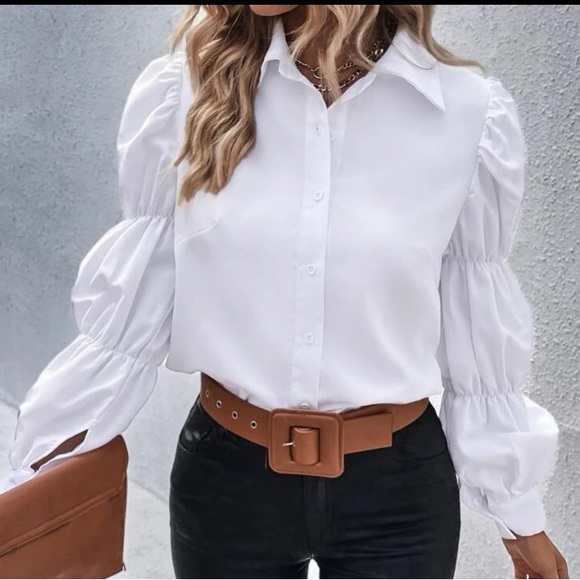 Nwt, Lavishly Paris Women’s Elegantly Casual Puffed Sleeved Button Down Blouse. - Picture 2 of 12